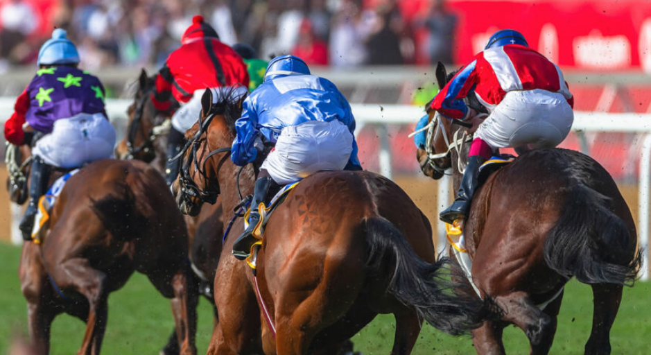 francechevalturf vip || francechevalturf